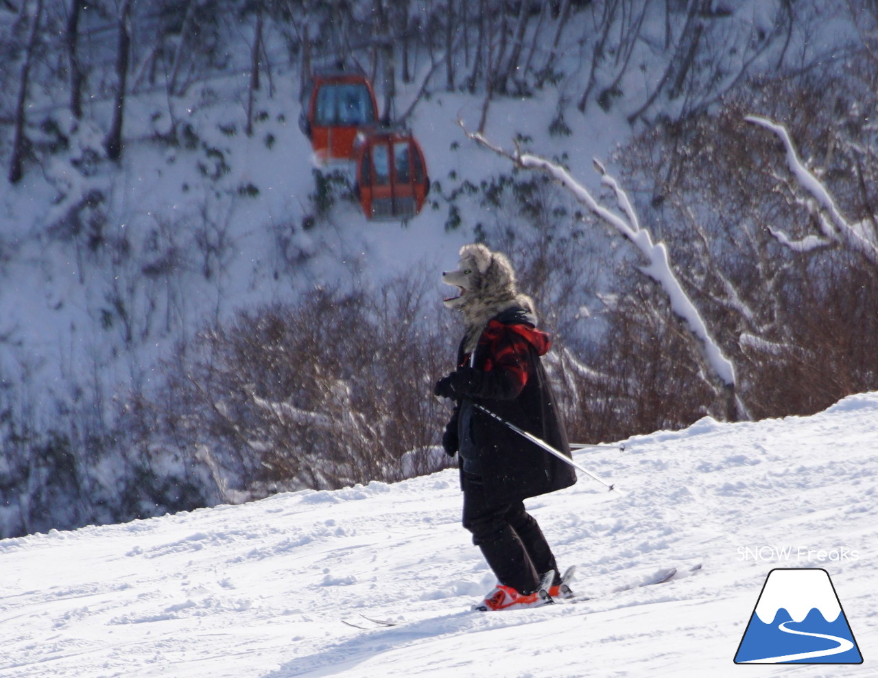 2018-2019 winter ☆パウダースノーで初滑り☆ 北海道札幌市・札幌国際スキー場